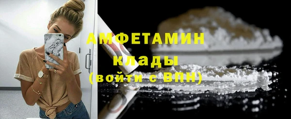 стаф Вязьма