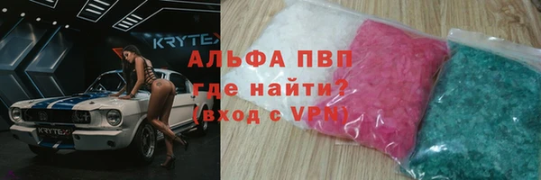 стаф Вязьма