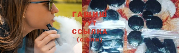 стаф Вязьма