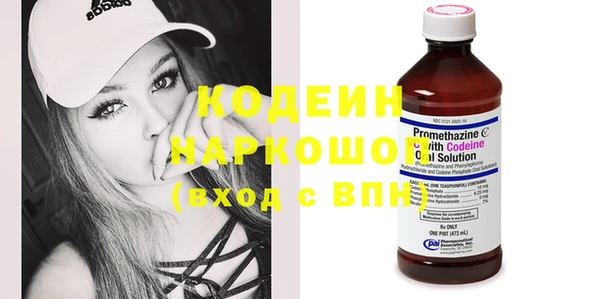 стаф Вязьма