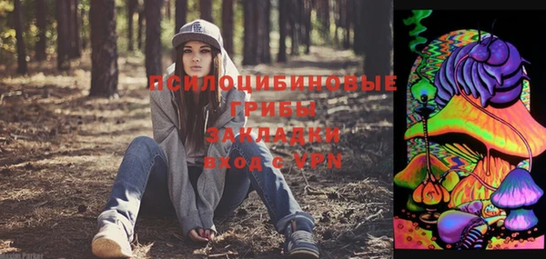круглые Гусь-Хрустальный