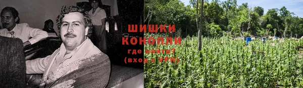стаф Вязьма