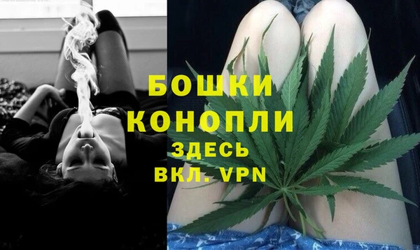 стаф Вязьма