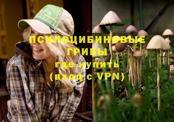 ECSTASY Вяземский