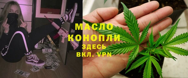 стаф Вязьма