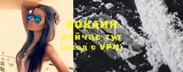 твердый Вязники