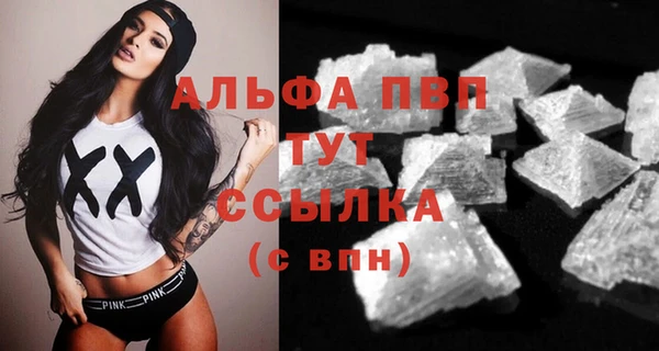 ECSTASY Вяземский