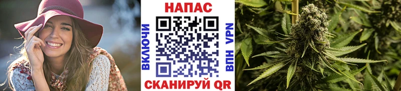 Шишки марихуана планчик  Купить где  Лебедянь 